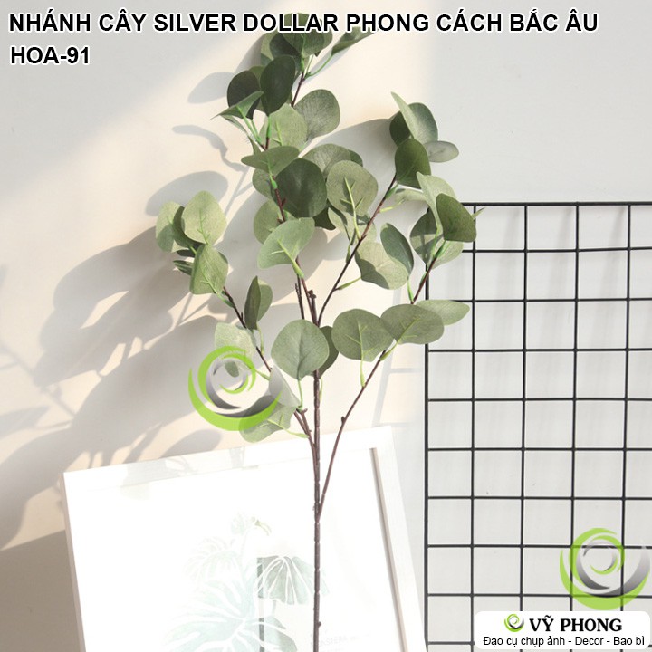 CÀNH LÁ CÂY SILVER DOLLAR PHONG CÁCH BẮC ÂU TRANG TRÍ ĐẠO CỤ CHỤP ẢNH SẢN PHẨM INS HOA-91