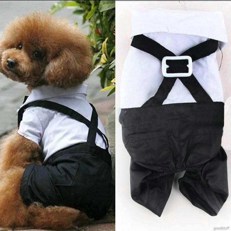 Aó liền quần cho chó nhỏ, Bộ tuxedo cho chó lớn, có nơ
