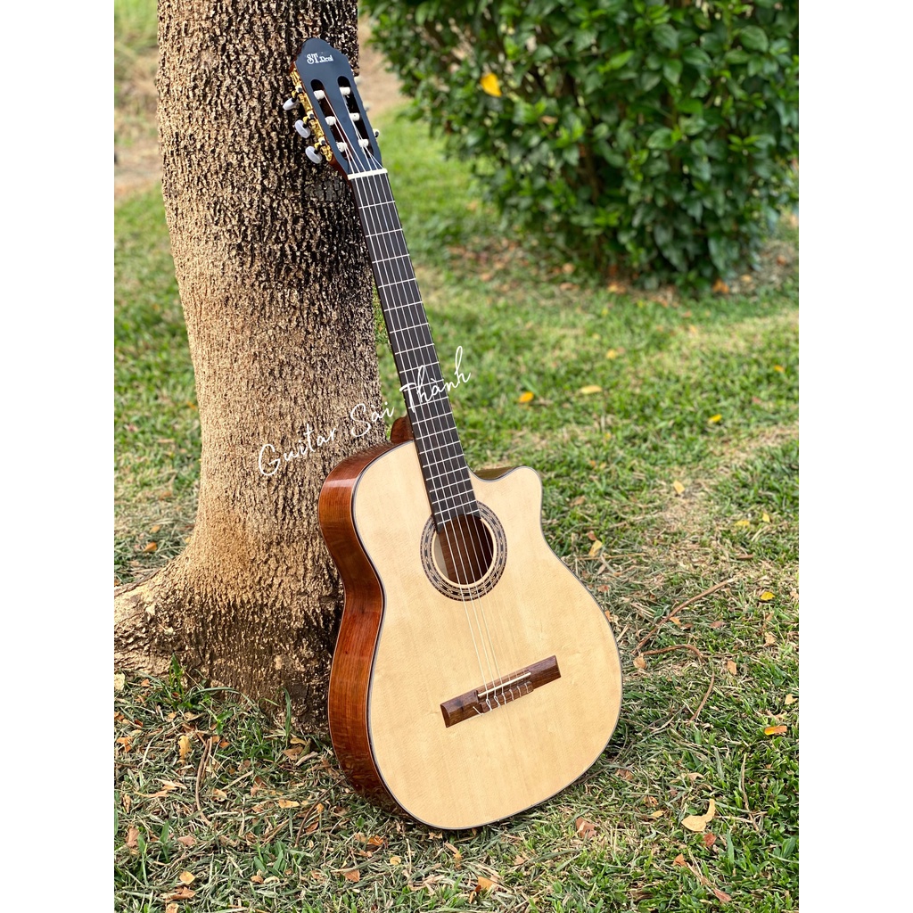 Đàn Guitar Classic ST-C4 Gỗ Điệp Có Kè lưng Gỗ Còng Cườm Tặng Full Box Phụ Kiện