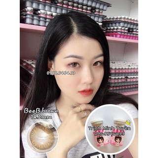 [CẬN] Mẫu Beeb nâu - xám - giãn 14.2mm - VASSEN CONTACT LENS - kính áp tròng
