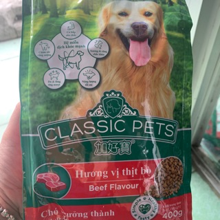 🌸🐶Cám classic Pet dành cho chó🌈🌸