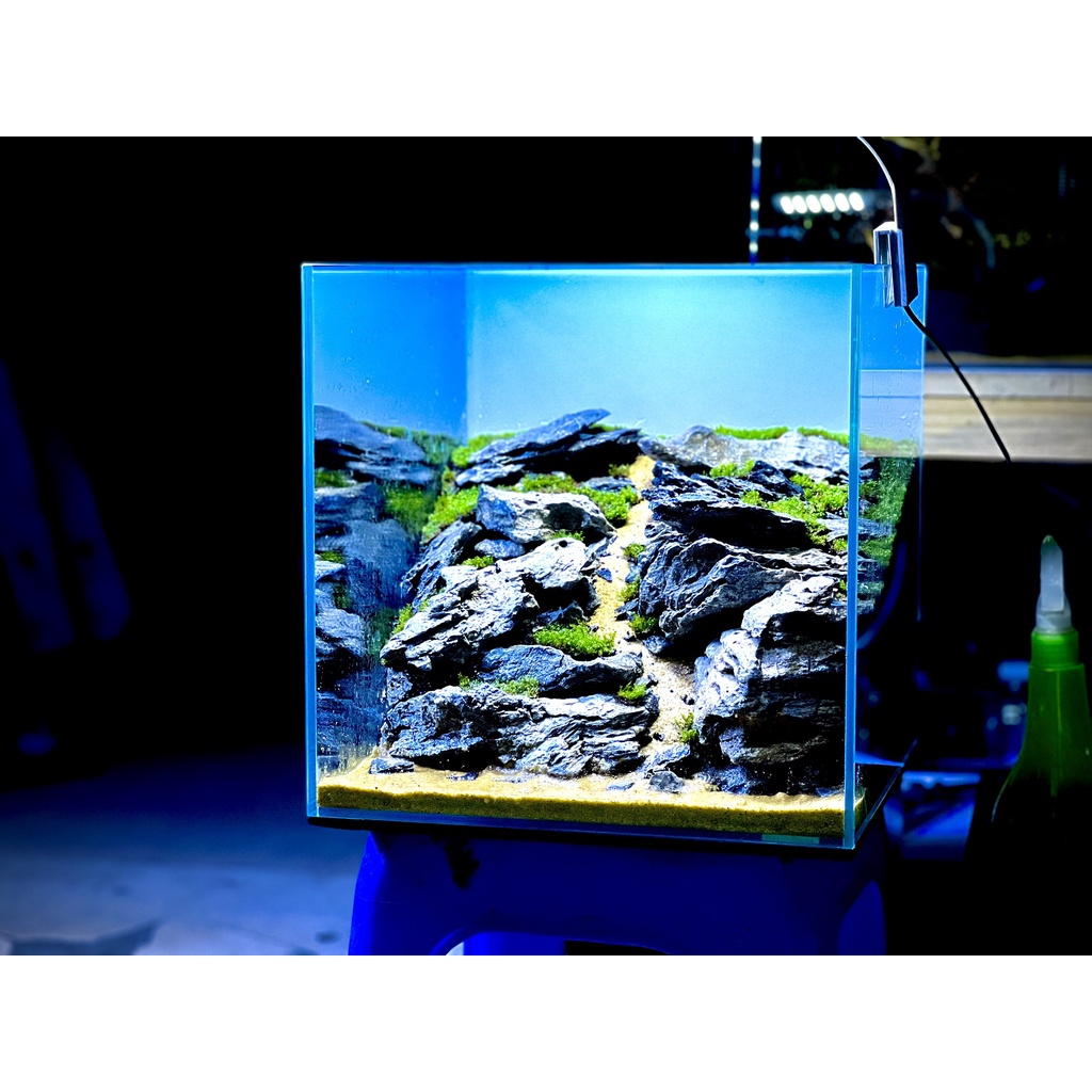 Tranh Decal Dán Bể Cá| Tranh trang trí bể cái| opensky và sunset