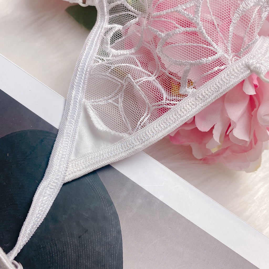 CK122- Quần lót nữ gợi cảm - kellywang
