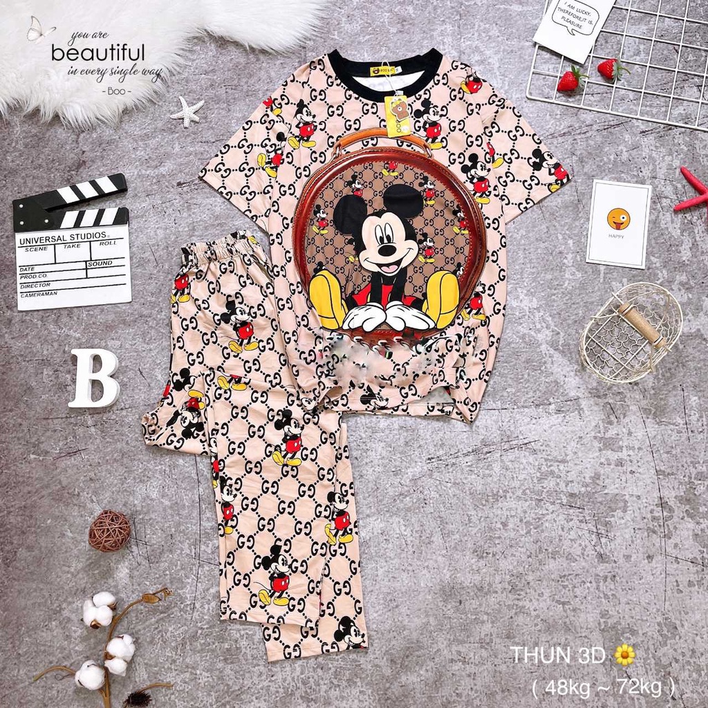 Set trang phục pijama đồ bộ đồ ngủ quần dài 3D thun lạnh thái freesize 45 - 64kg