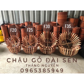 Chậu gỗ trồng lan