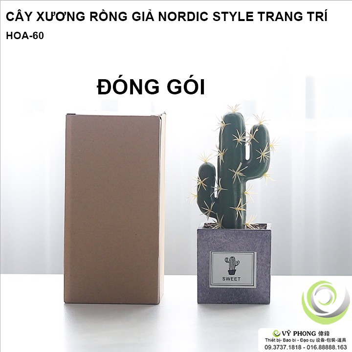 CÂY XƯƠNG RỒNG GIẢ TRANG TRÍ NORDIC STYLE ĐẠO CỤ CHỤP ẢNH HOA-60