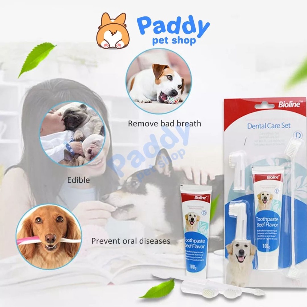 Set Kem Đánh Răng & Bàn Chải Bioline Cho Chó Mèo