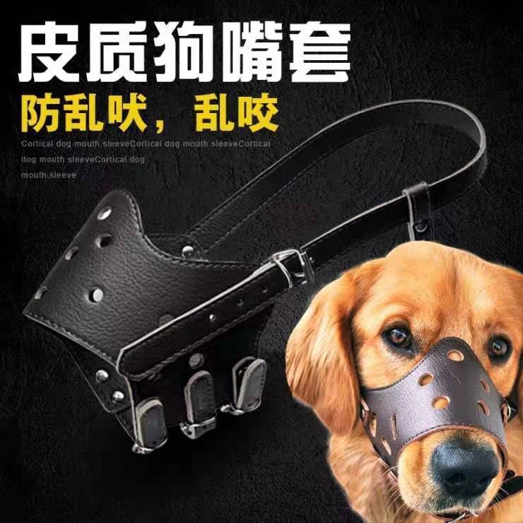 Bịt miệng cho chó, Bịt miệng cho chó, Thiết bị ngăn ngừa chó cắn và sủa, Chó vừa và lớn, Mặt nạ cho chó, Golden Retrieve