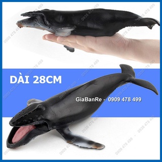 Mô Hình Cá Voi Lưng Gù Khổng Lồ Dài 28cm - Thế Giới Động Vật - 7673.3