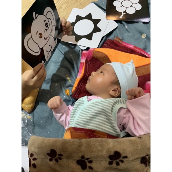 Bộ thẻ kích thích thị giác theo chủ đề cho trẻ từ 0 đến 36 tháng