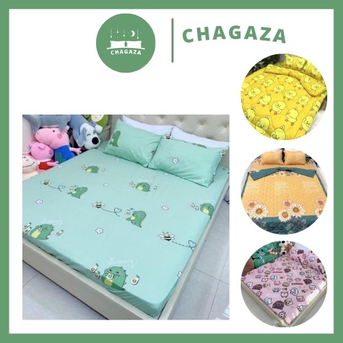 Ga gối poly bộ ga gối Cotton Hàn Quốc đáng yêu miễn phí bo chun drap ga giường
