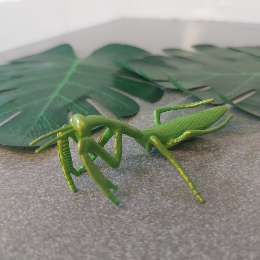 Con Côn Trùng Giả Kiến Nhện Sâu Đồ Chơi Cho Bé 000674