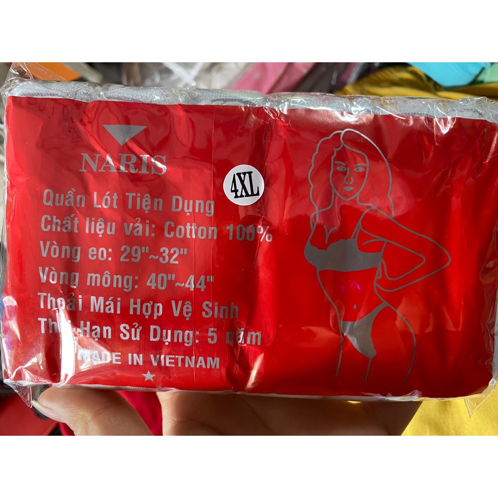 Set 6 Chiếc Quần Lót Giấy Vải Cotton Dùng 1 Lần Dành Cho Người To Cân Cho Mẹ Bầu Mẹ Sau Sinh (60-90 Kg)/Đáy quần 2 lớp