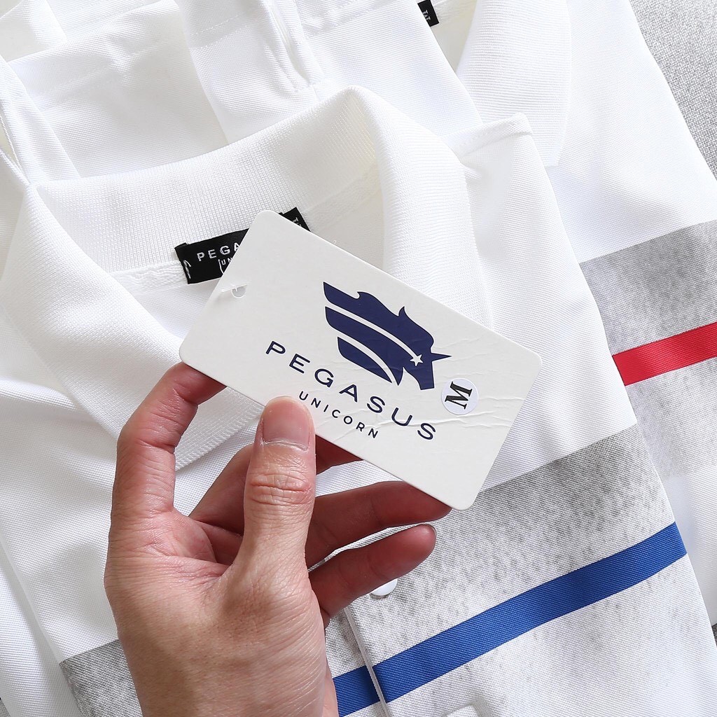 Áo thun nam POLO phối màu PEGASUS301 3M - Chất liệu cotton poly cực đẹp THE BASIC STORE