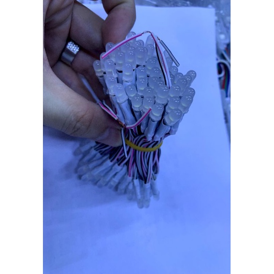 Led liền dây