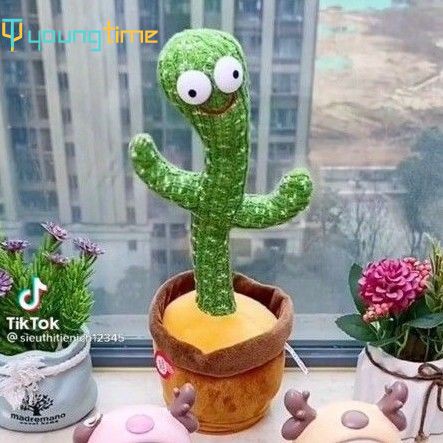 【Cây Xương Rồng Nhảy Múa】Dancing Cactus-67 Giọng Việt Nam+Ghi âm học nói/60 English songs+recording youngtime