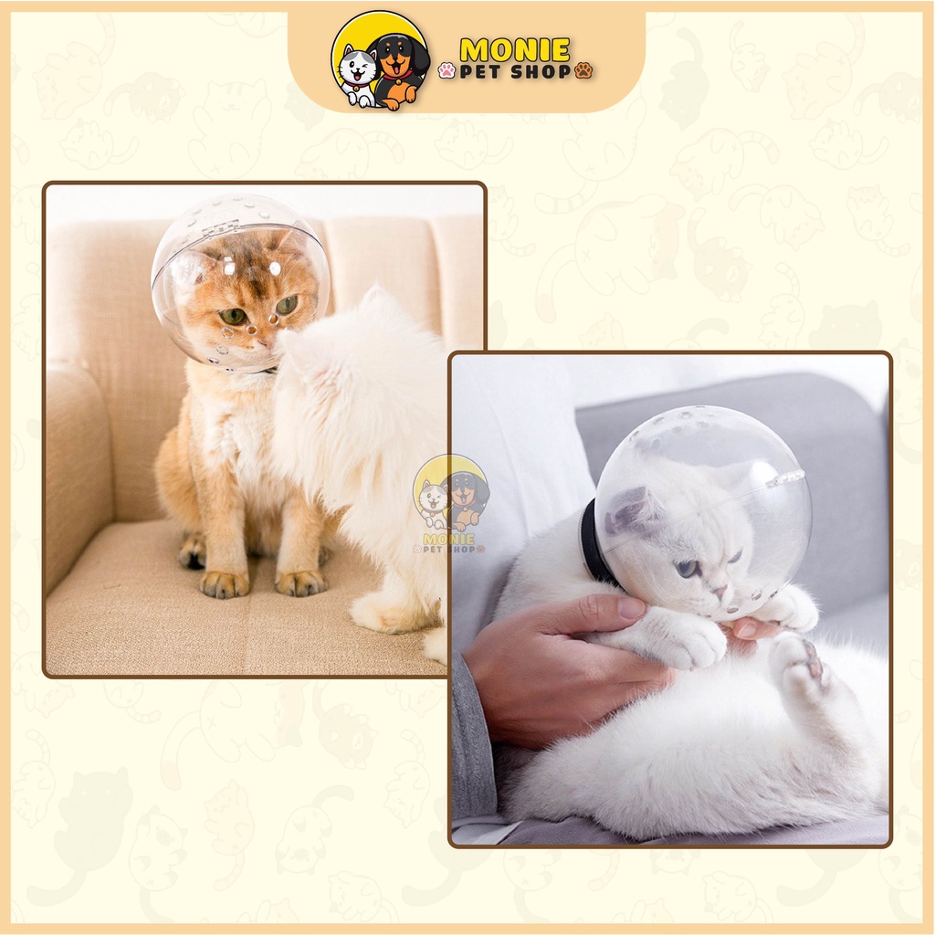 [Hỏa tốc] Mũ trùm đầu chống cắn cho mèo