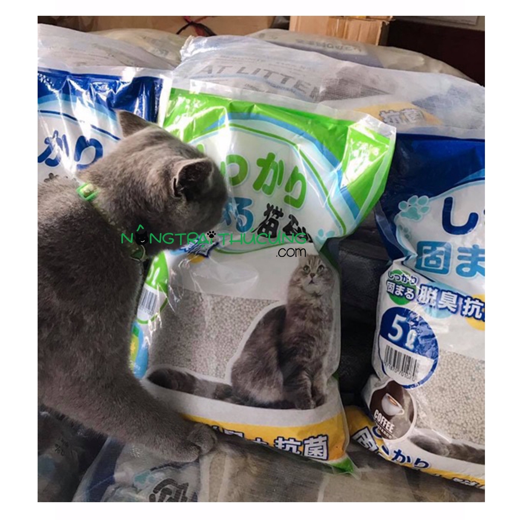 [Mã 159FMCGSALE giảm 8% đơn 500K] Sỉ - Cát vệ sinh cho mèo - Cát Nhật 5L - Cát Litter