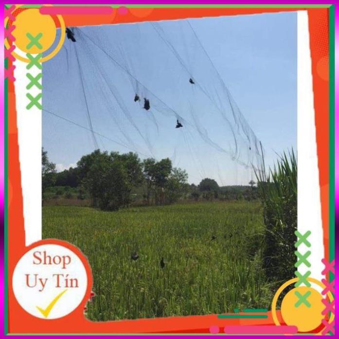 ⭐  [Siêu Khuyến Mãi] Lưới Bẫy Chim Chào Mào, Họa Mi, Sẻ, Khuyên Cao 5m, Độ Dài Từ 35m-60m, Lưới Chim Thái Lan
