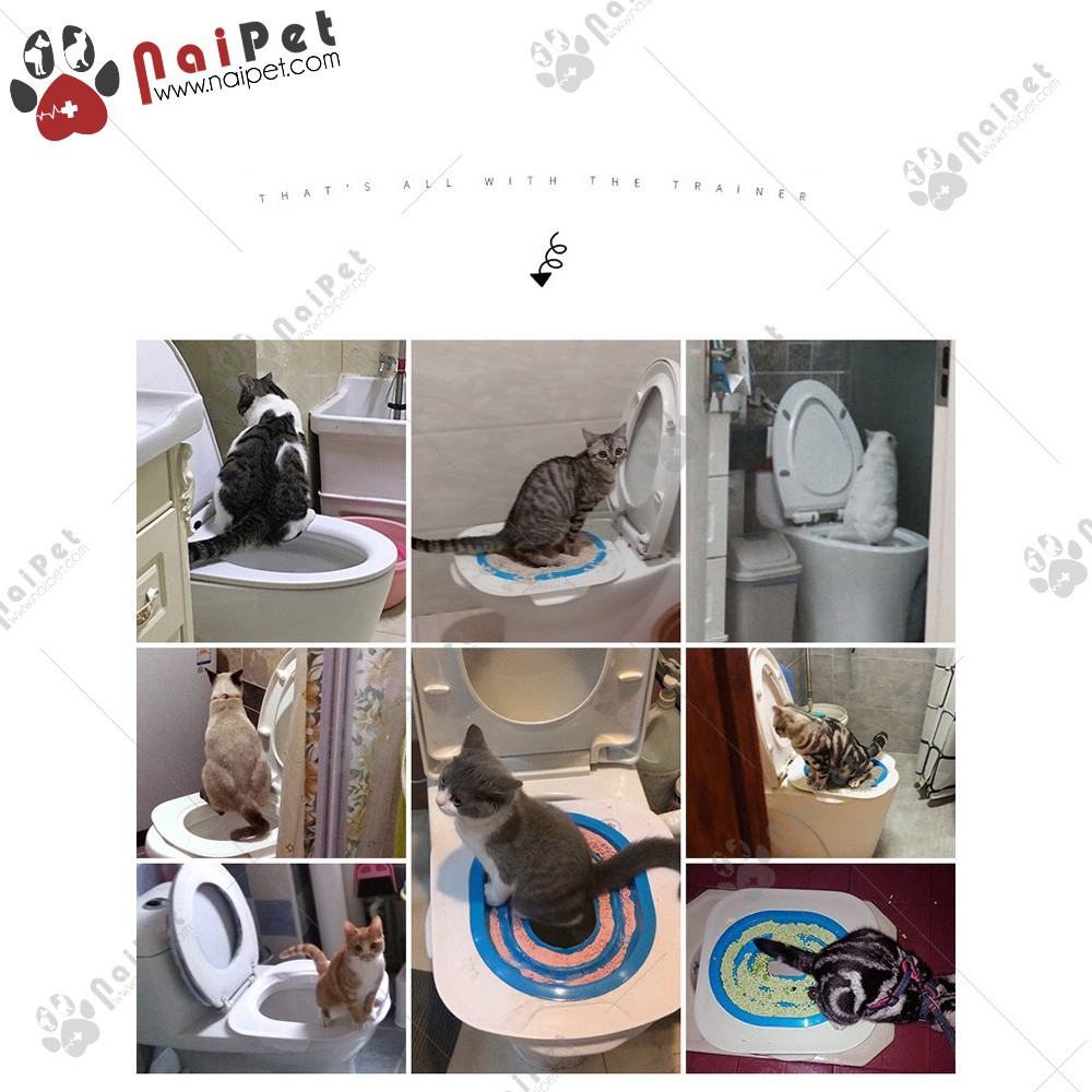 Bộ Huấn Luyện Mèo, Dậy Mèo Đi Vệ Sinh Vào Bồn Cầu Toilet Train Cao Cấp