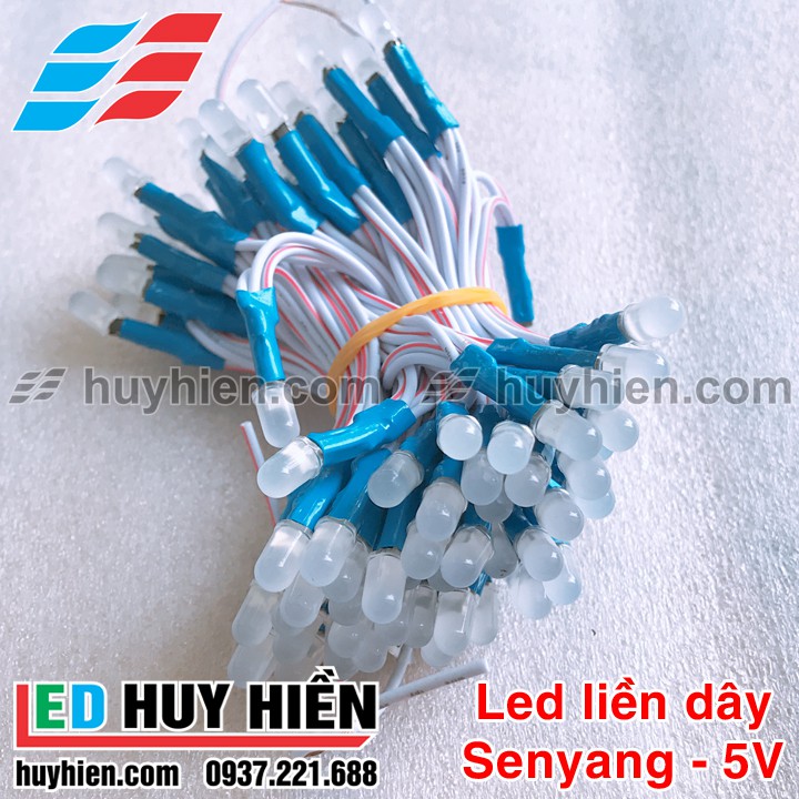 Cụm 100 bóng led liền dây JIYI (TTY) 5V các màu đơn sắc | BigBuy360 - bigbuy360.vn