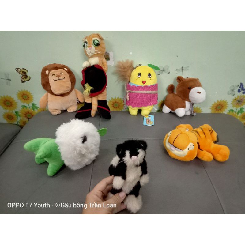 Gấu bông tháng 11