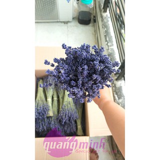 Bó hoa lavender khô thuần túy