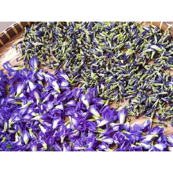 TRÀ HOA ĐẬU BIẾC KHÔ NGUYÊN BÔNG 1KG NẤU XÔI, NẤU CHÈ THƠM NGON