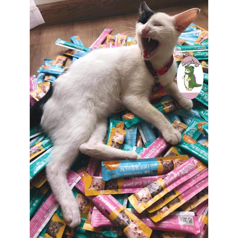 Súp thưởng cho mèo PET SNACK, SHISUKA,.. 15G ⭐️