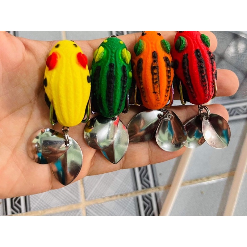 NHÁI HƠI CÓC MẮT LỒI