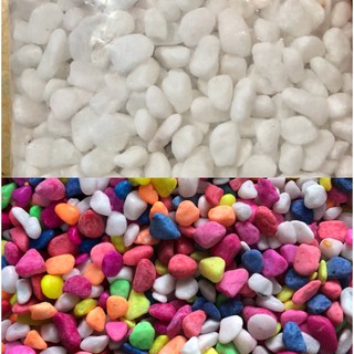 SỎI TRẮNG-SỎI MÀU TRANG TRÍ