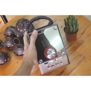 Loa Vision VSP CV-V18