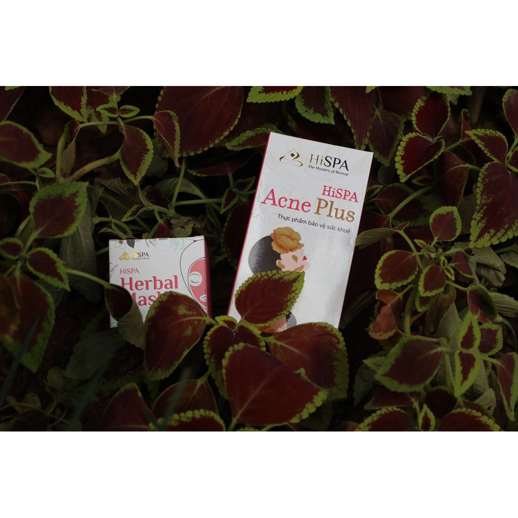 Viên uống thải độc HiSPA AcnePlus | BigBuy360 - bigbuy360.vn