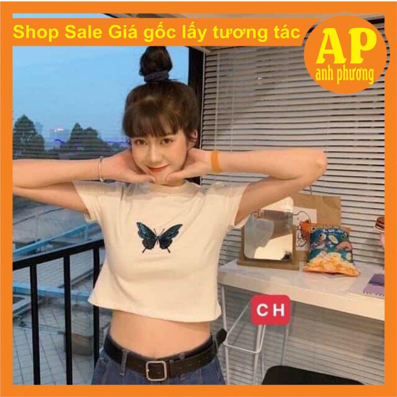 Áo croptop bodip Bướm Xanh co giãn 4 chiều, áo thun nữ ôm body