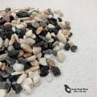 Sỏi ba màu tự nhiên ( chọn size )