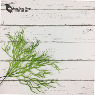Phụ kiện chụp hình sản phẩm - rêu xanh