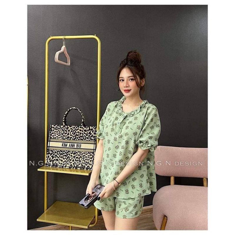 Sét mèo xanh cổ bèo chun