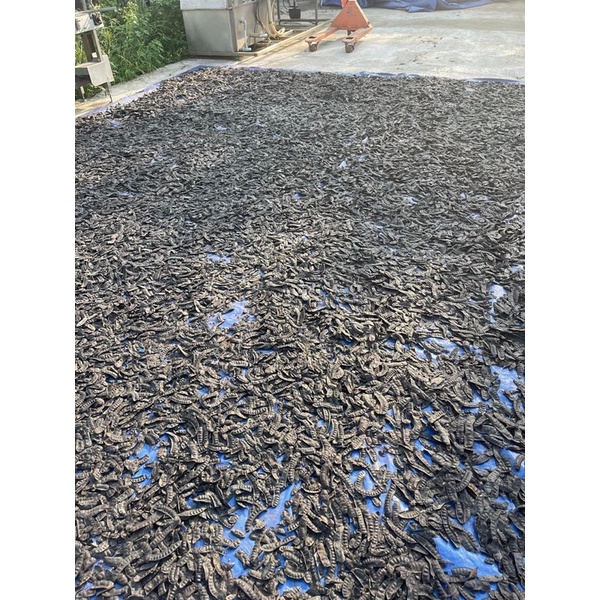 1LIT DẦU GỘI THẢO DƯỢC CÔ ĐẶC