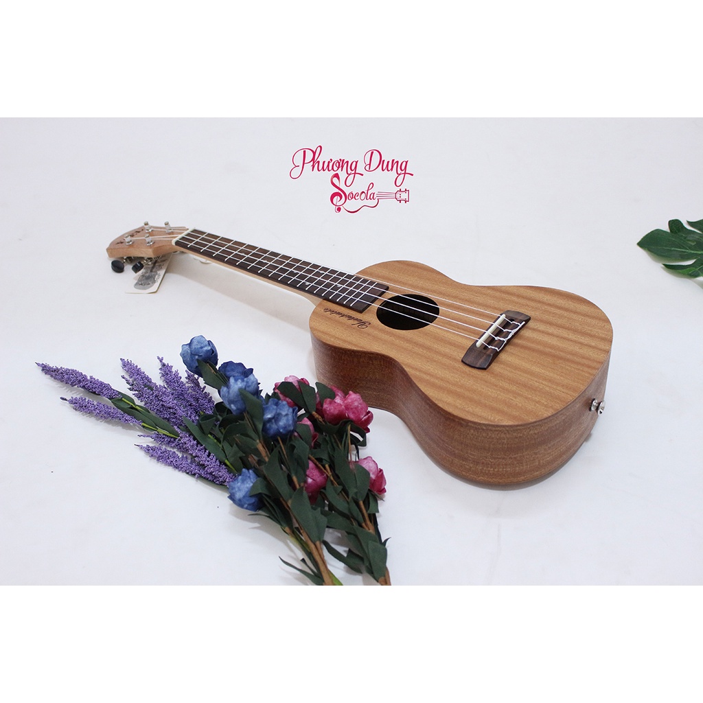 Đàn Ukulele Gỗ chính hãng Yael size Concert - Basic