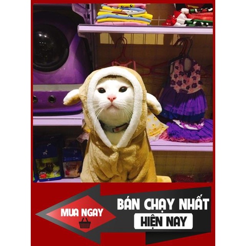 [❌GIÁ SỈ❌] [ SALE SOCK ]Áo Cosplay cho chó mèo giao ngẫu nhiên 0 ❤️