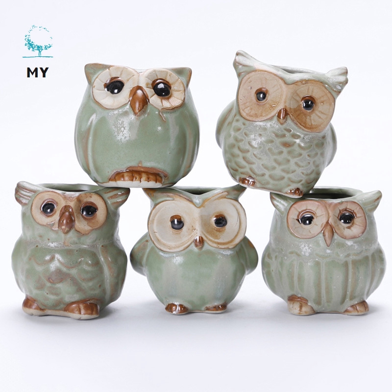 Bộ 5 chậu trồng hoa bằng gốm hình chim cú mèo dễ thương