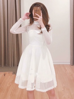 Đầm dạ tiệc phối lưới sang chảnh