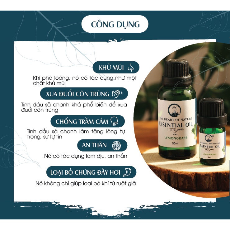 Combo 2 tinh dầu Sả chanh + Ngọc lan tây PK 10ml/chai