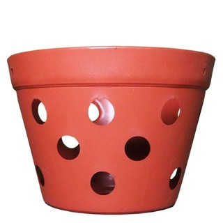 Chậu nhựa giả đất trồng Lan