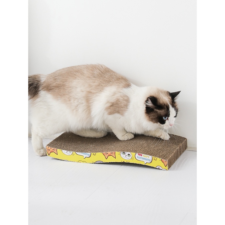 Bàn cào móng cao cấp cho mèo an toàn dễ thương chống xước Tennessee052