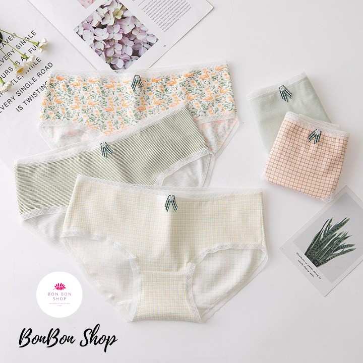 Set 5 Quần Lót COTTON Combo 5 Quần Chíp Nữ Nhiều Loại Cạp Vừa Cạp Vừa Chống Hằn Lộ Viên Co Gĩan NHều | BigBuy360 - bigbuy360.vn