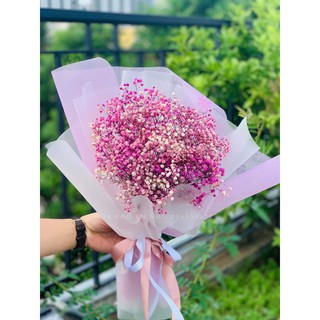 Hoa baby khô trang trí phòng ngủ, làm đồ handmade *FREESHIP