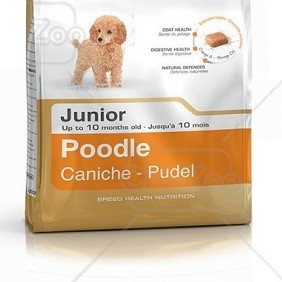 Thức ăn cho chó Royal Canin Poodle Junior 500g - ptpetlove