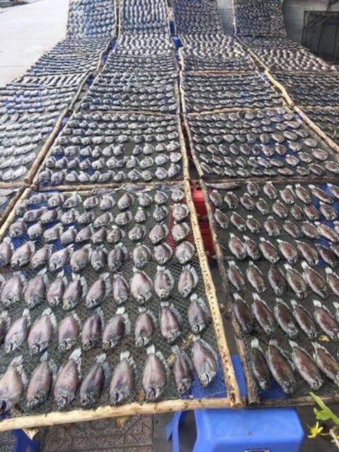 SẶC BỔI KHÔ LẠT
Giá 240k /kg(10_12con)
🔊🔊Khô cá Bổi (cá Sặc Rằn) Cà Mau 3 nắng.
💥Xuất xứ cà mau hạn sử dụng 3 tháng.