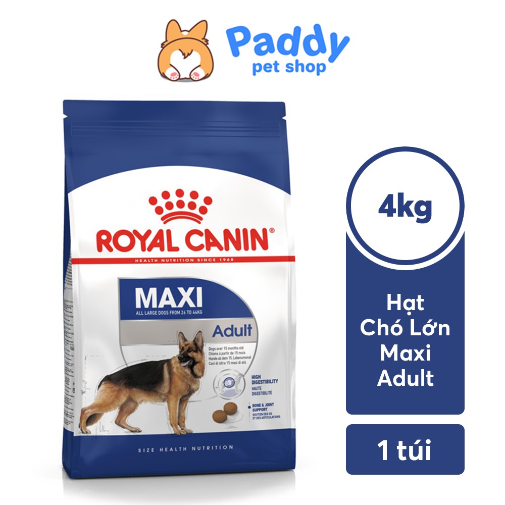 [Mã 229FMCGSALE giảm 8% đơn 500K] [4kg] Hạt Royal Canin Maxi Adult Cho Chó Trưởng Thành Giống Lớn